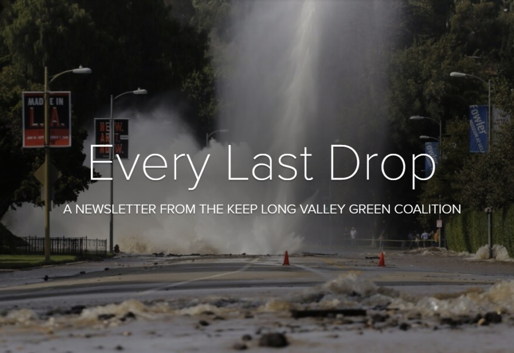 Header image with the Every Last Drop newsletter featuring a large water main burst